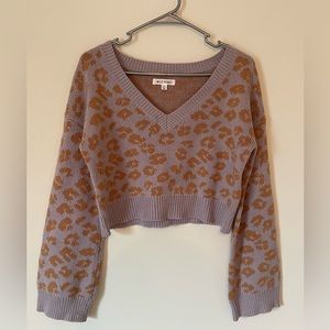 XS Wild Honey Cheetah Print Cropped Sweater
